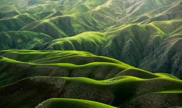 Green hills